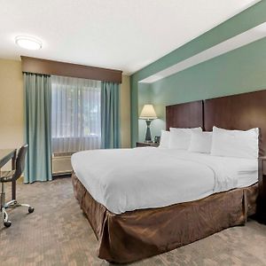 King Suite Bath Tub Sofa Bed Disability Access or Non-Smoking
